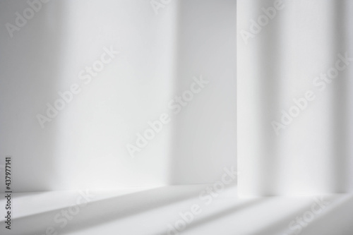 Fototapeta Naklejka Na Ścianę i Meble -  Abstract white studio background for product presentation. Empty gray room with shadows of window. Display product with blurred backdrop.
