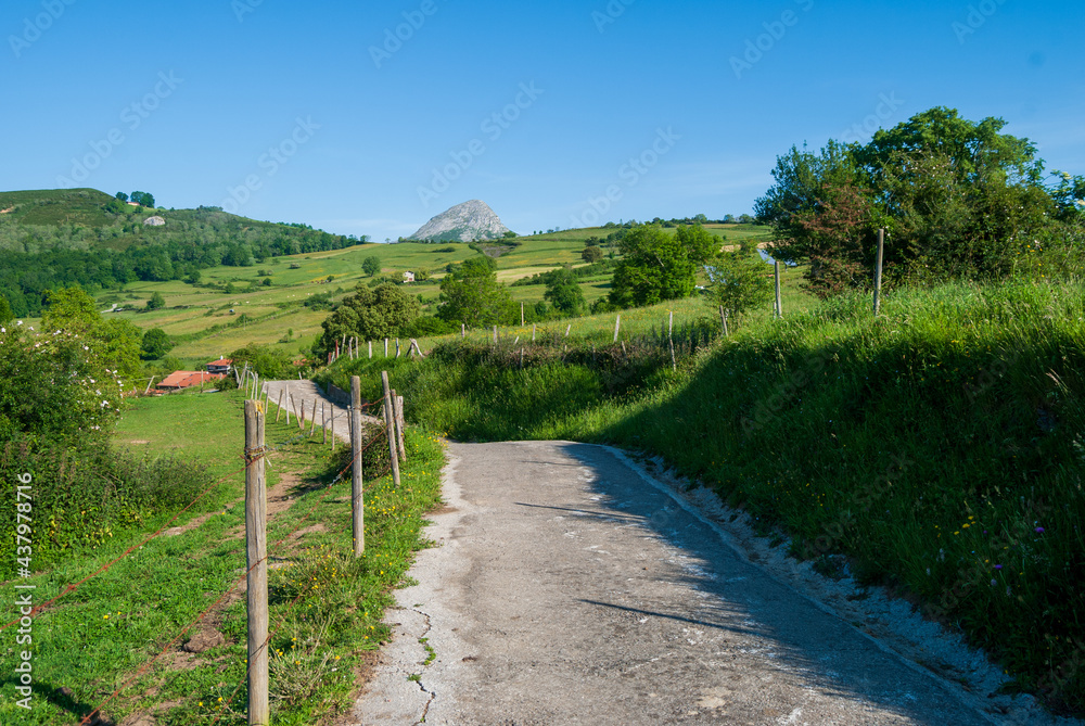 Naklejka premium Path to the town