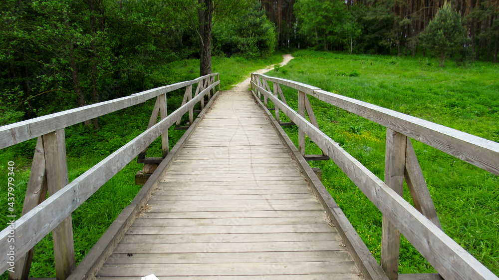 Wooden bridge in the forest.	