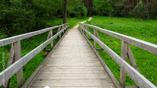 Wooden bridge in the forest. 