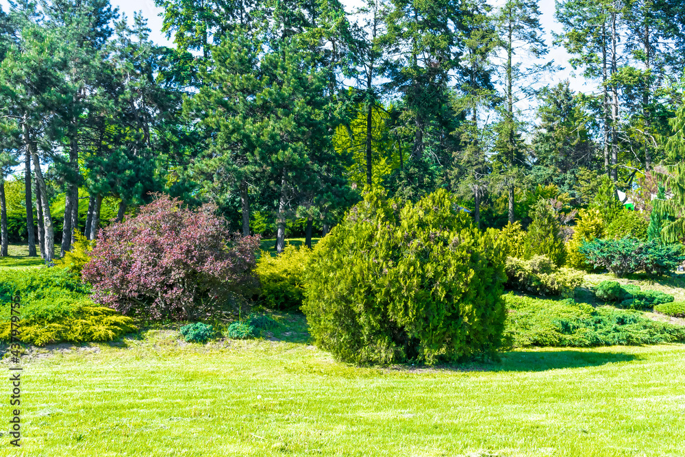 Obraz premium Beautiful green botanical landscape design in garden, park with bushes and flowers, fregh grass lawn. Scenic summer gardening nature background, concept