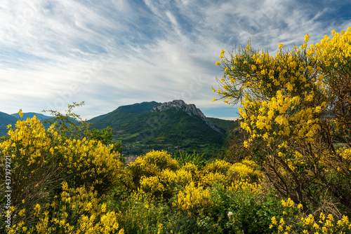 Vue sur le rocher Saint Julien avec genets au premier plan    Buis les Baronnies dans la Dr  me Proven  ale