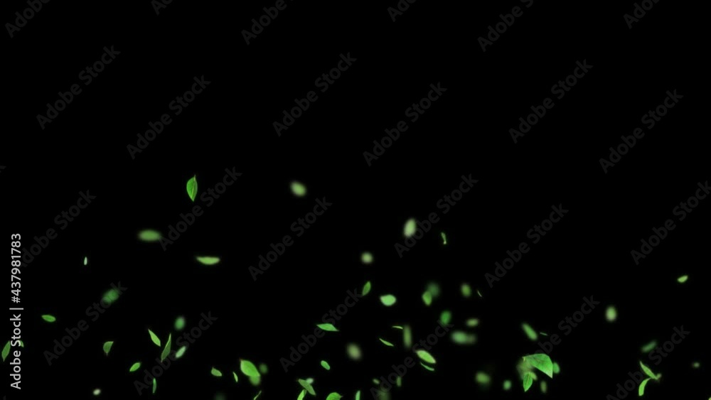 Slow motion shot of exploding variation of green leaves. Animation with transparent background in ProRes 4444 format