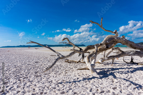 Ferien, Tourismus, Sommer, Sonne, Strand, Meer, Glück, Entspannung, Meditation: Traumurlaub an einem einsamen, karibischen Strand photo