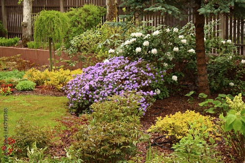 Home garden plot with many kinds of flowering bushes in the spring season