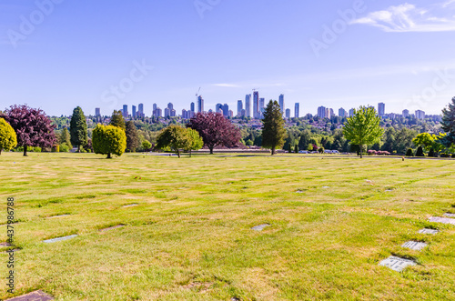 View of Metrotown from the cemetery photo