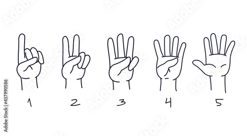 Counting from one to five on the fingers. Hand gestures for preschool learning to count. Numbers on the fingers. Line drawing. Vector flat isolated art fun. counting fingers