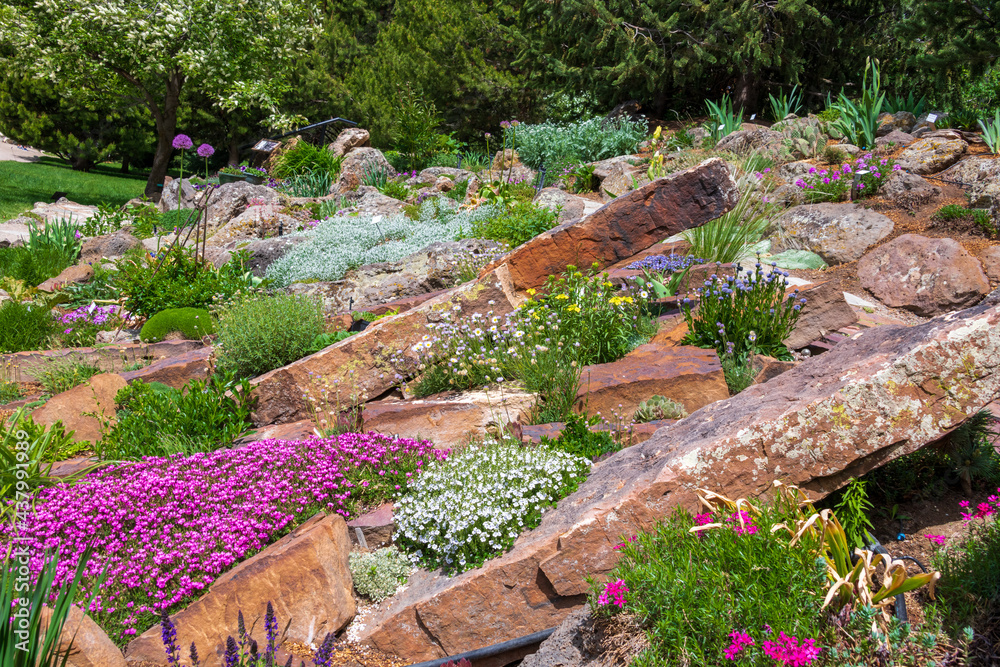 Springtime in Yampa River Botanical Gardens Springtime in Yampa River Botanical Gardens
