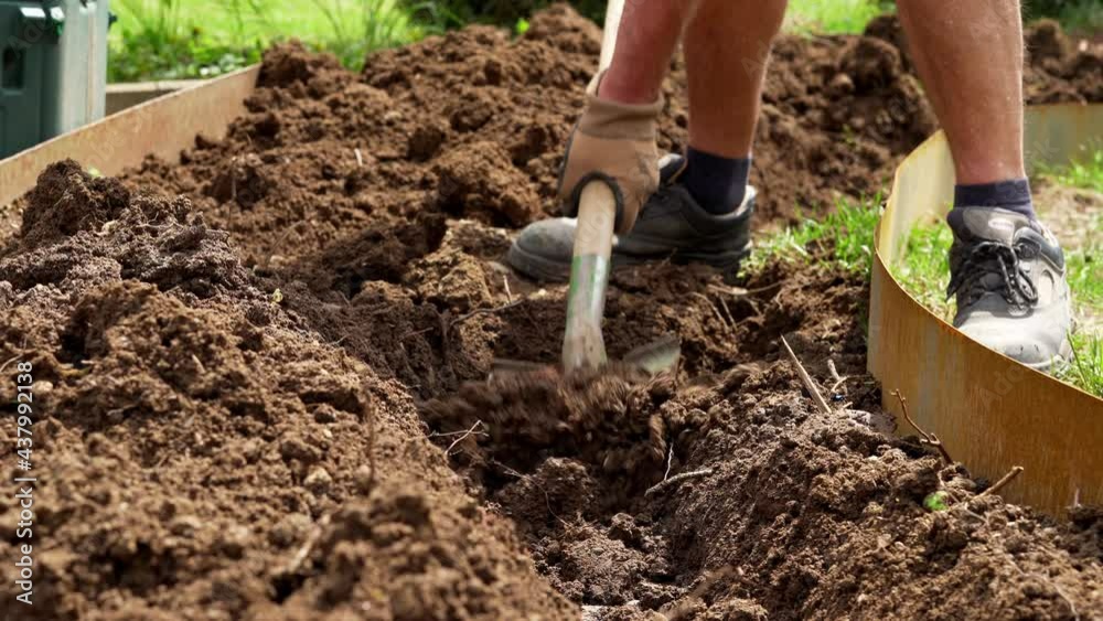 Static shot of hands with shovel preparing soil for garden Static shot of hands with shovel preparing soil for garden