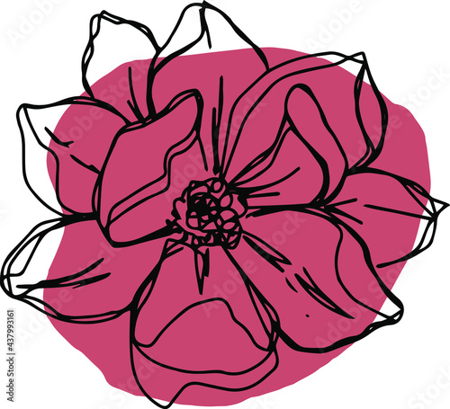 botanical floristic contour flower peonies  poppies tulips open buds and closed. Vector isolated minimalistic terracotta flower