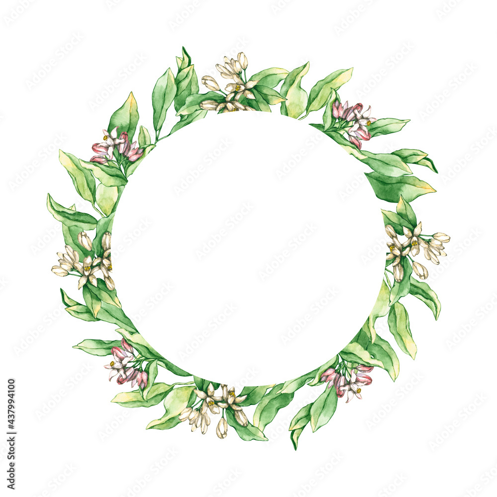 Round frame with watercolor lemon and orange flowers and leaves. Hand drawn illustration is isolated on white. Floral wreath is perfect for natural design, label, icon, logo, wedding invitation