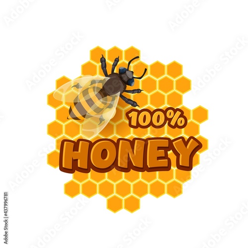 Cartoon honey and bee icon, apiary beekeeping production vector emblem with bee and honeycombs. Natural sweet food, organic nectar extraction, apiculture farm label isolated on white background