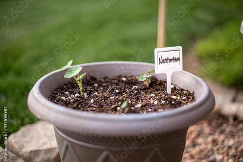 Views of plants and signs in flower pots with bokeh background