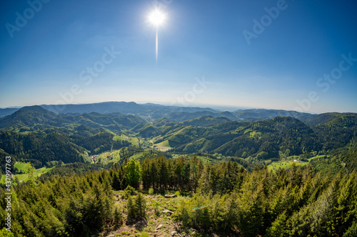Sommersonne in Oppenau