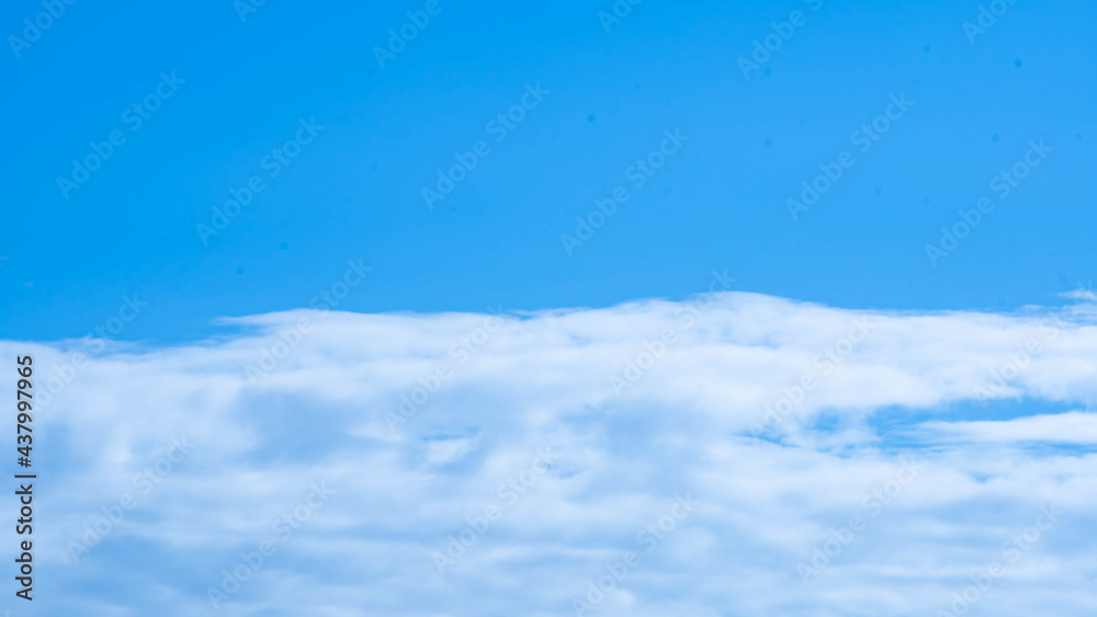 Fototapeta premium 青空