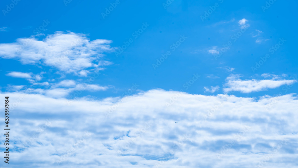 Fototapeta premium 青空