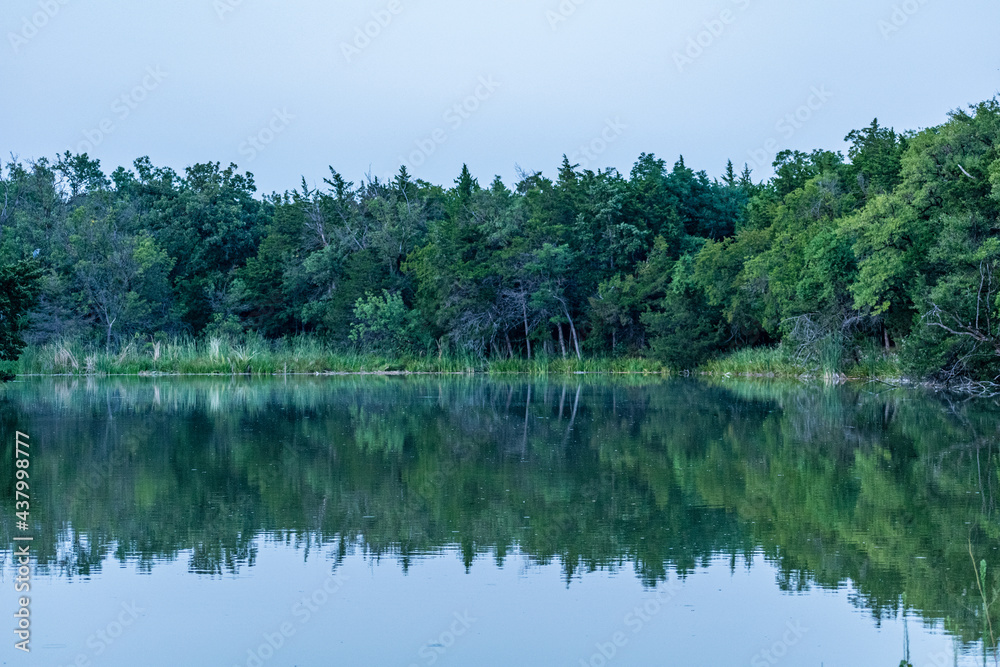 lake in the forest