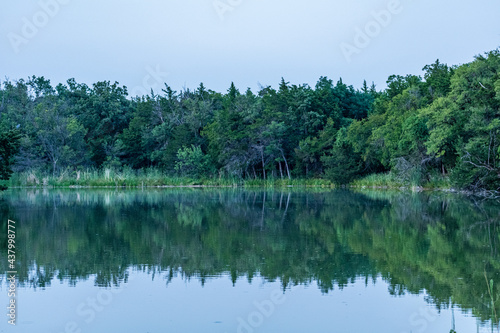 lake in the forest