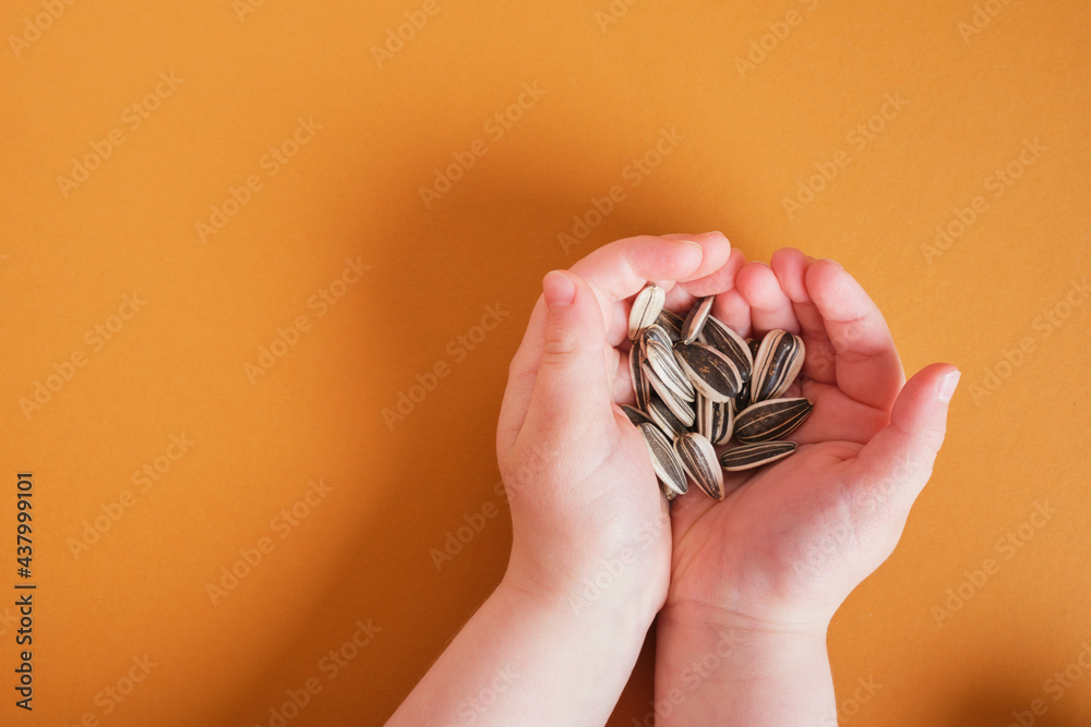sunflower seeds in children's palms on brown background sunflower seeds in children's palms on brown background