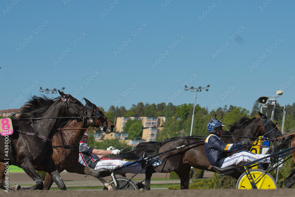 210530 - Elitloppet trotting event at Solvalla track in Stockholm Sweden. High quality photo 210530 - Elitloppet trotting event at Solvalla track in Stockholm Sweden. High quality photo