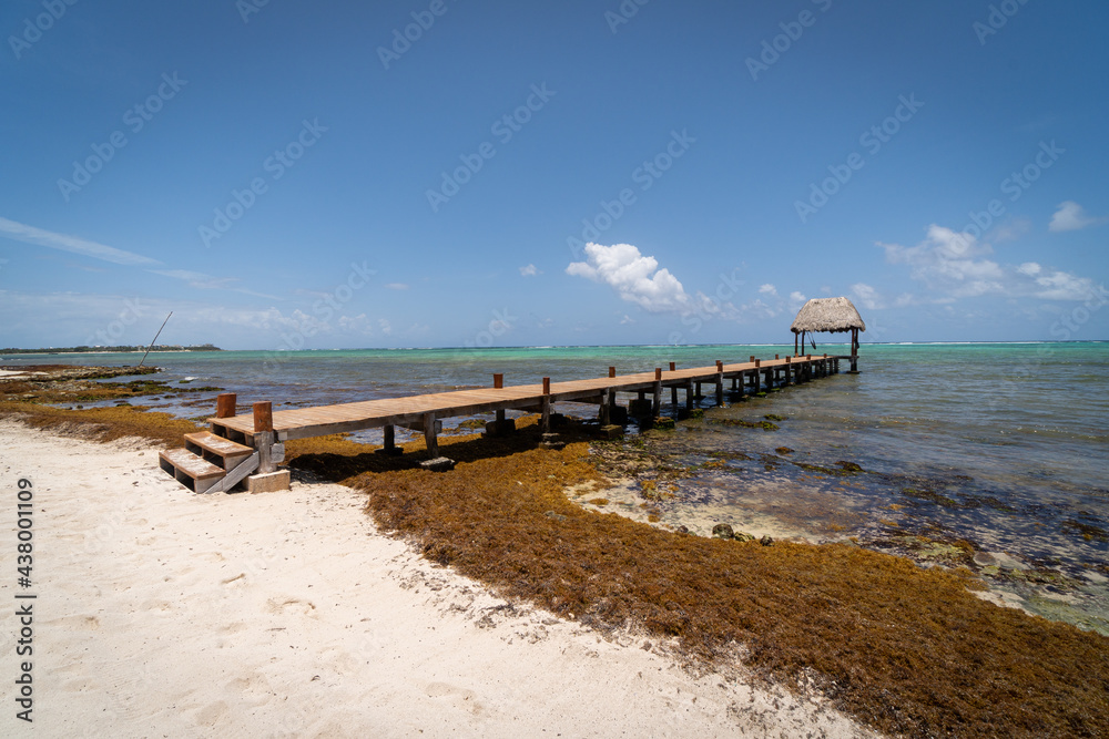 Landscape shot of a dock covered with Sargassum seaweed in the Caribbean coastal town of Tulum, Mexico.