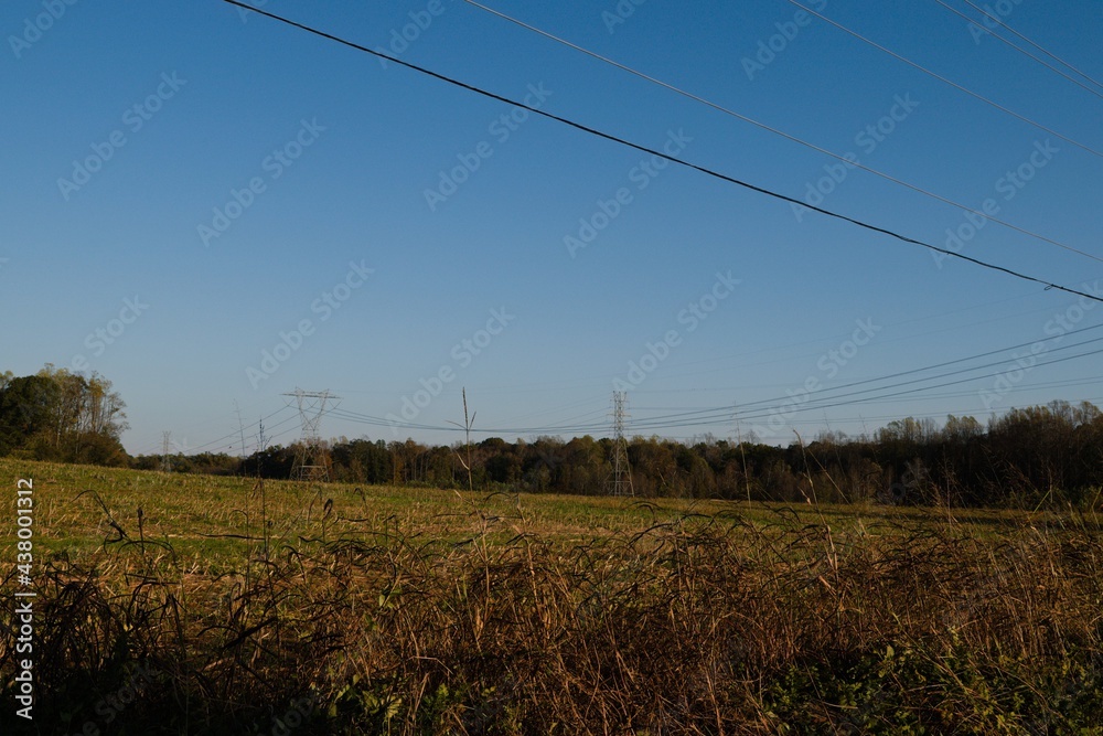 lines in the field lines in the field