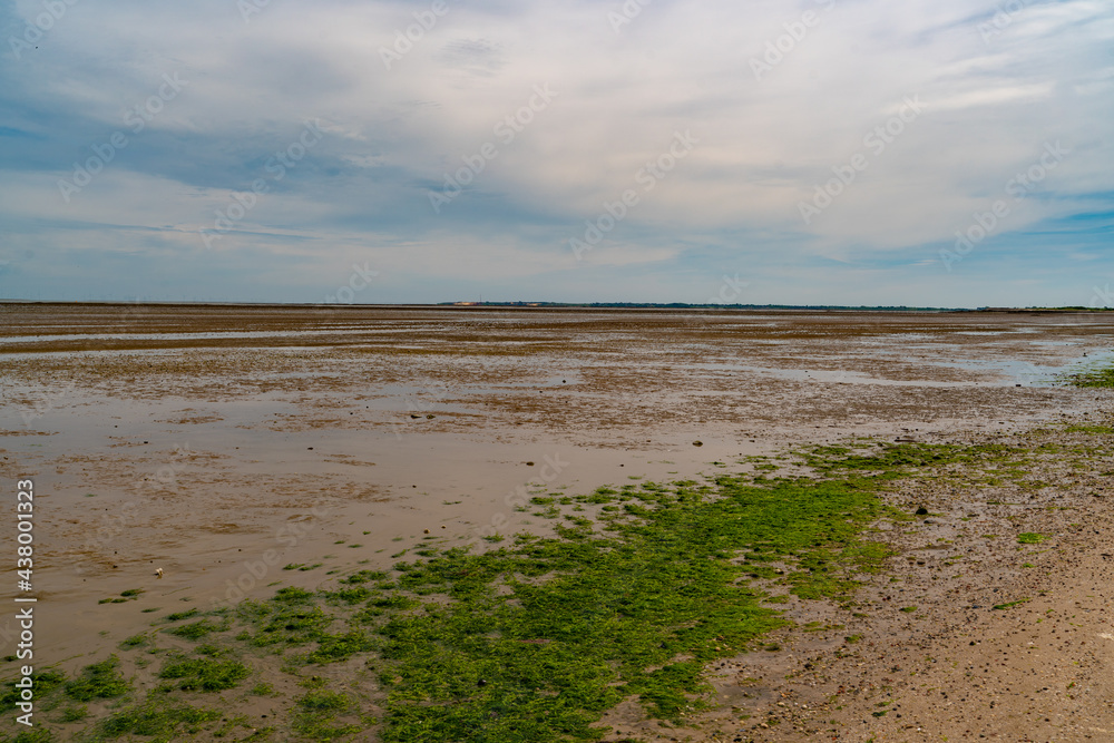 Wattenmeer, Watt, Wattwanderung, Sylt, Nordsee, Schleswig Holstein