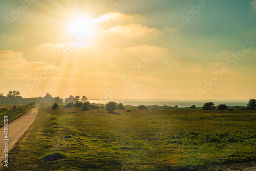 Landschaft  Sylt  Nordsee  Schleswig Holstein  Nordseek  ste