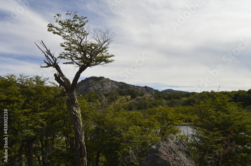 Patagonia Chile