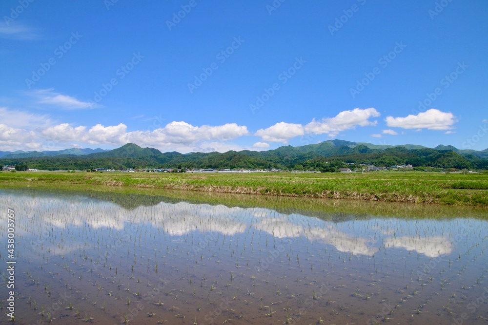 Fototapeta premium 水田と山並み（福島県・喜多方市）