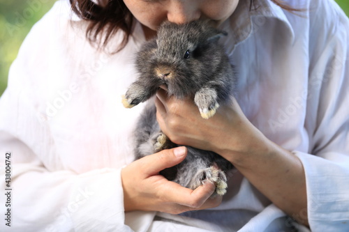 Adorable young rabbit and woman sit together outdoor. Owner care little cute bunny on her laps. Woman wear longsleeves white gown as doctor or vetenarion for pet.