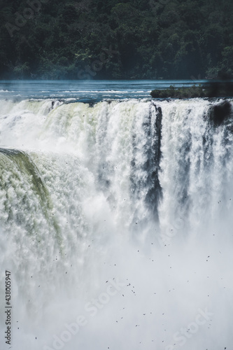 Close-up of the Devil's Throat at the Iguazu Falls. Birds swifts or vencejos flying below