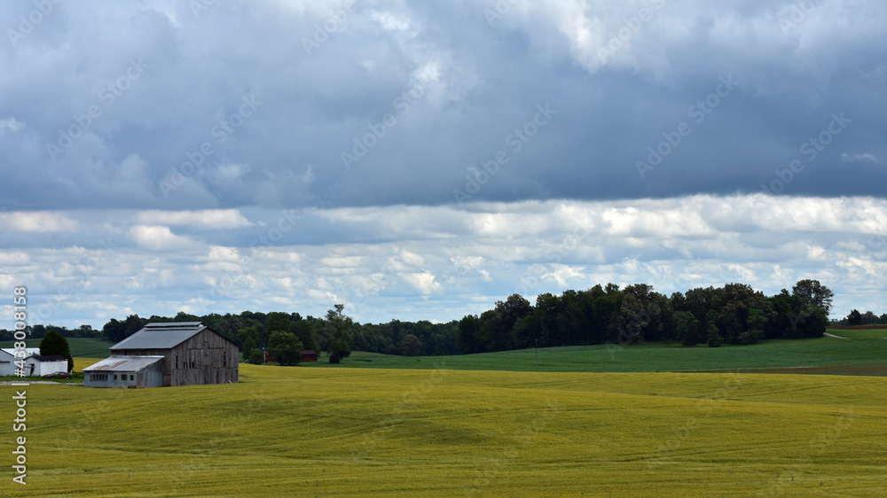 landscape with clouds