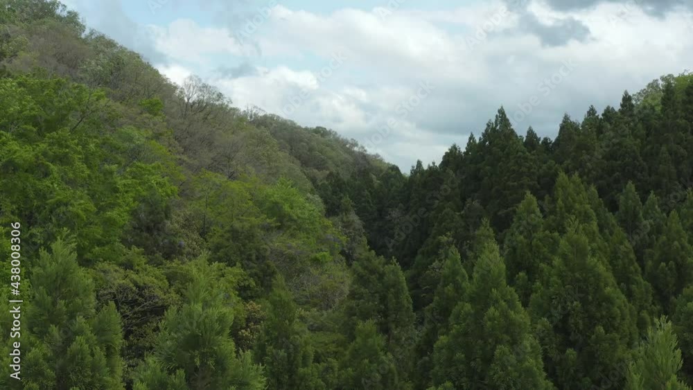 Aerial rising over trees in the wilds of Tottori, Japan Aerial rising over trees in the wilds of Tottori, Japan