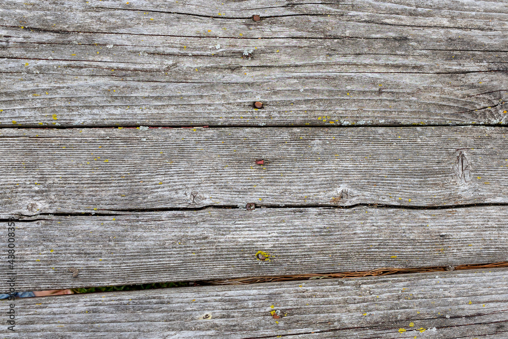 Fototapeta premium Wooden board that are the top of an old picnic table with rusty nails.