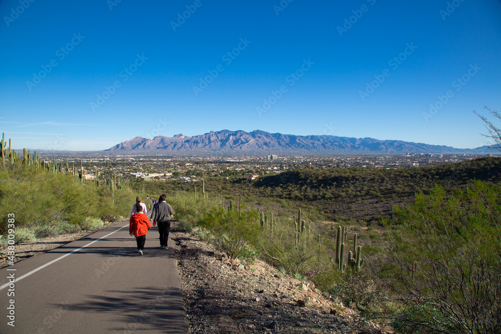 Mountain Stroll