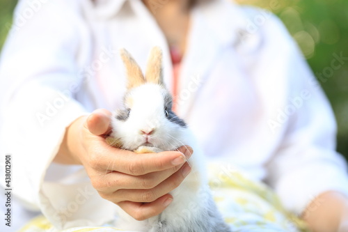 Adorable young rabbit and woman sit together outdoor. Owner care little cute bunny on her laps. Woman wear longsleeves white gown as doctor or vetenarion for pet.