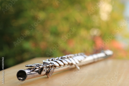 Obraz na plátne Flute, woodwind brass instrument in classical orchestra
