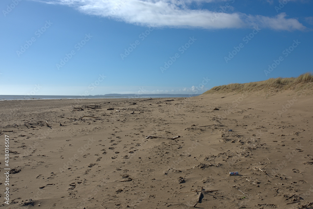sand dunes on the beach