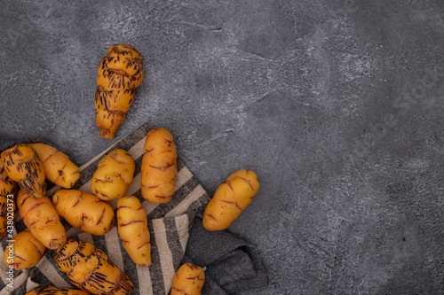 Oca, tuber used in Peruvian cuisine photo