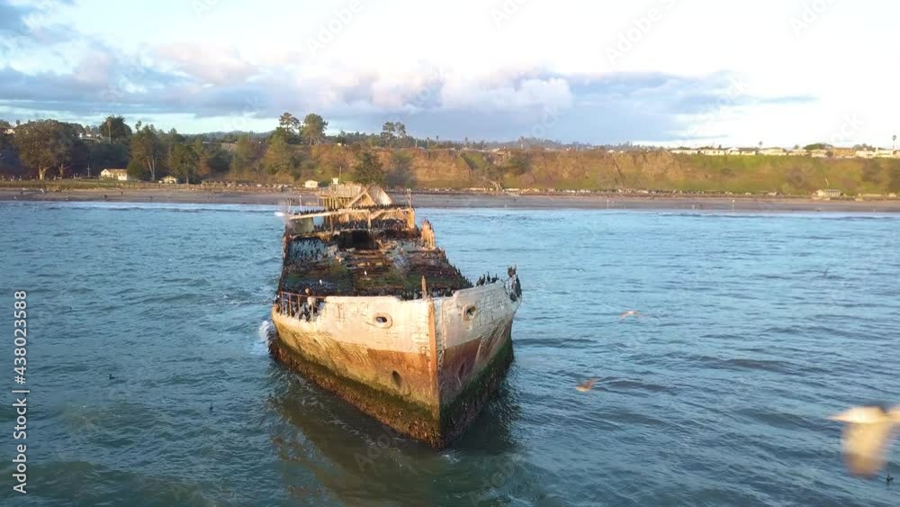 Sunken Ship off the Coast with Birds and Wildlife. Drone video of shipwreck in the ocean with animals flying around. Half sunken boat aerial footage.