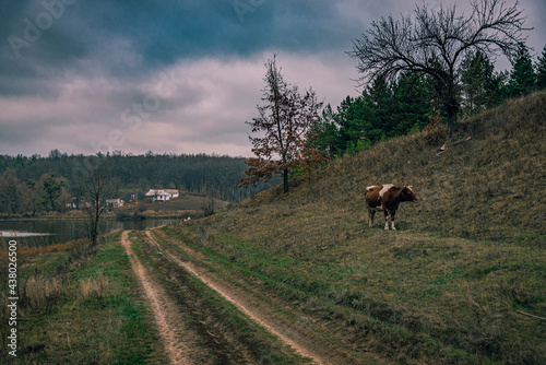 Fototapeta Naklejka Na Ścianę i Meble -  Fields, forests and roads in autumn