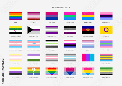 Identity pride flags set. Pride Month. Flag of gay, transgender, bisexual, lesbian etc.