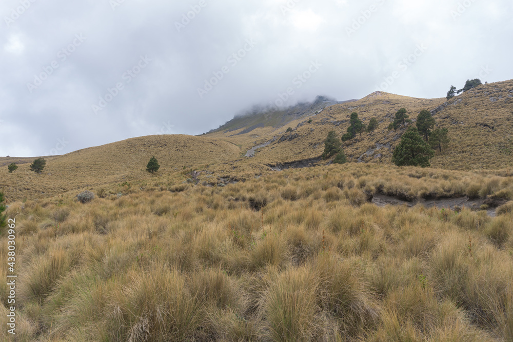 A hiking trail leading to the top of malinche volcanic mountain in Mexico A hiking trail leading to the top of malinche volcanic mountain in Mexico