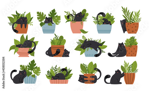 Baby black cat and potted plants - kids isolated vector clip art set