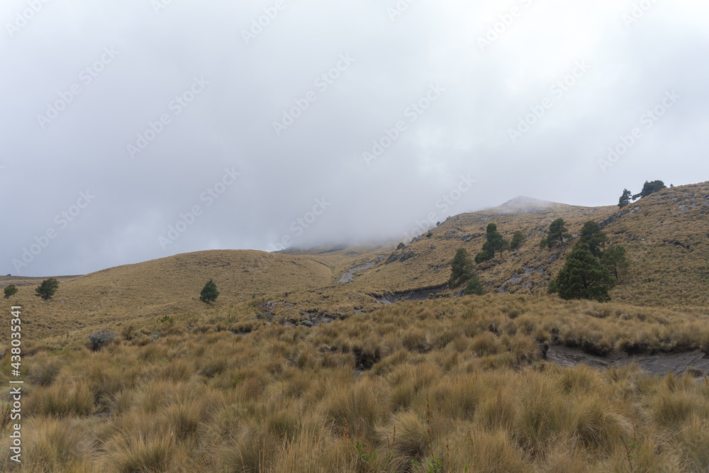 Hiking trail leading to the top of malinche volcanic mountain in Mexico Hiking trail leading to the top of malinche volcanic mountain in Mexico