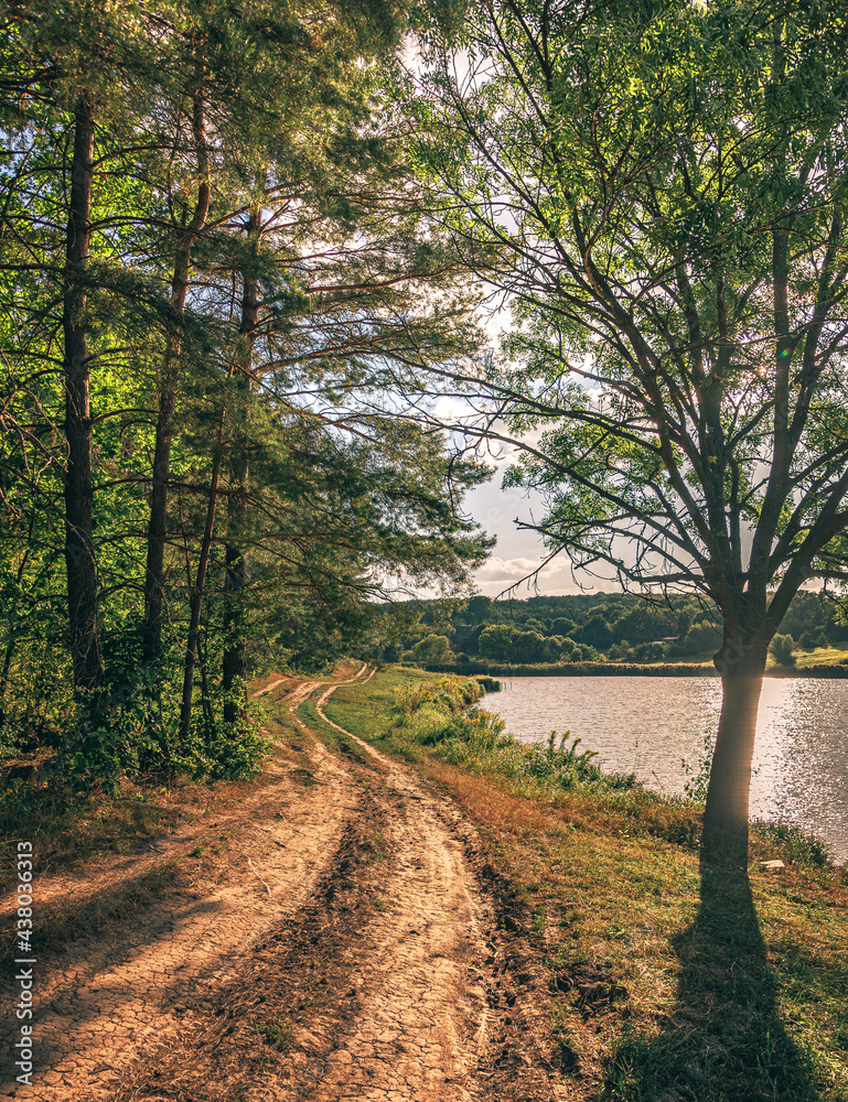 Obraz premium Summer landscape