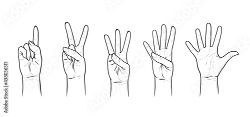 Gestures for counting from one to five. Set of hand gestures showing numbers. Sketch vector illustration isolated in white background