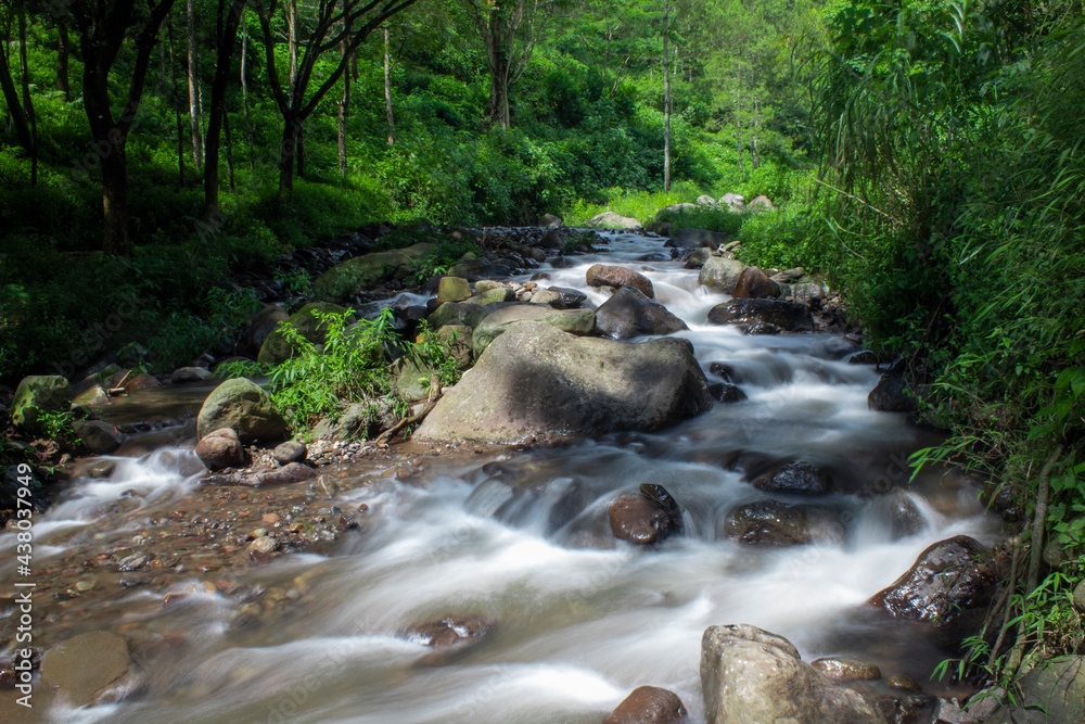 Long Exposure river flow in the forest and some rocks around the river Long Exposure river flow in the forest and some rocks around the river
