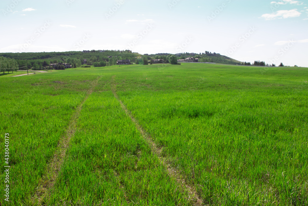 Obraz premium Countryside landscape, rural Alberta, pasture, endless sky